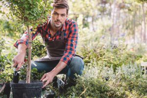 de voordelen van een tuinman