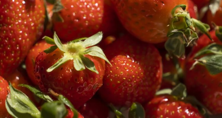 de juiste manier om Aardbeien te kweken