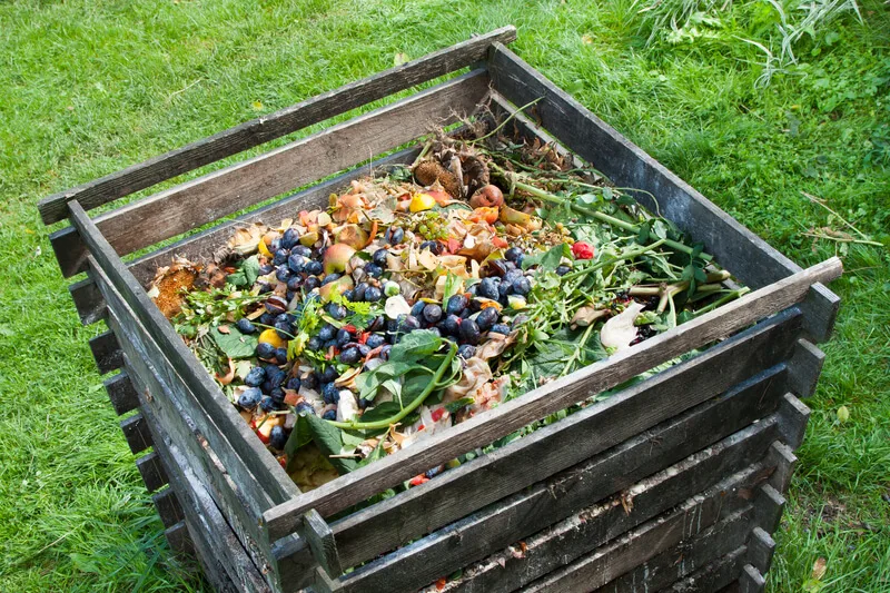 Het gebruik van compost in je tuin
